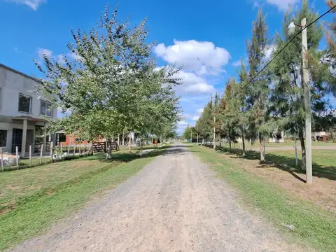 Club de Campo Domselaar chico