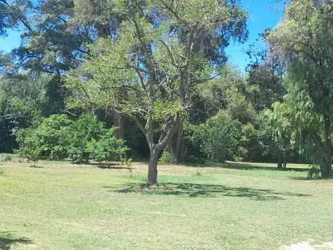 Terreno en Venta 50  mts Fondo