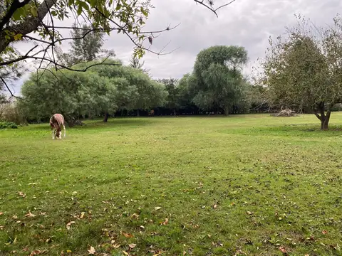 Calle 520 y 507, Mercedes.