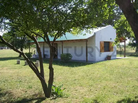 VENTA CASA EN CAMPO DE 5 HECTÁREAS EN LAS FLORES APTO PARA EXPLOTACIÓN GANADERA Y AGRÍCOLA
