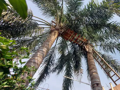 Casa en Venta 30 años