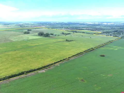 230 Has. Campo mixto en venta en Los Cardales