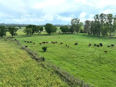 Campo en Venta con Alambrado