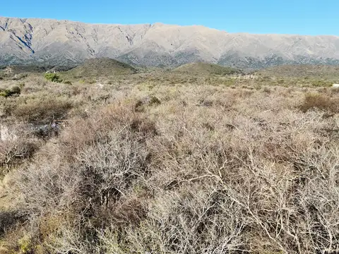 Terreno en Venta en Cruz De Caña, USD 15.000