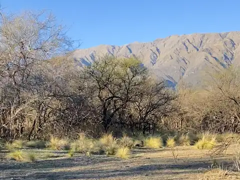 Terreno en Venta en Cruz De Caña, USD 15.000