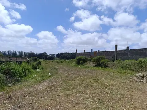 Juana Manso entre Jose Docnoyahal y Juan  Coniqueguen Yahan,