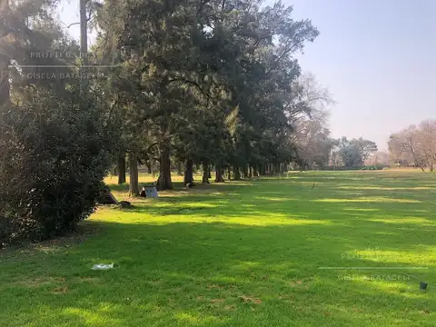 Champagñat y Panamericana