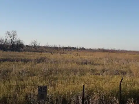 VENDO 7 HECTAREAS EN SAN RAFAEL MENDOZA