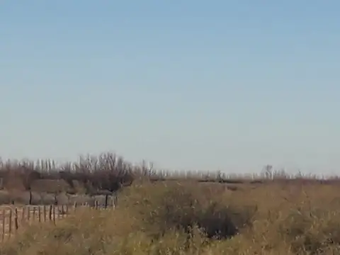 Quinta en Venta 2025 años