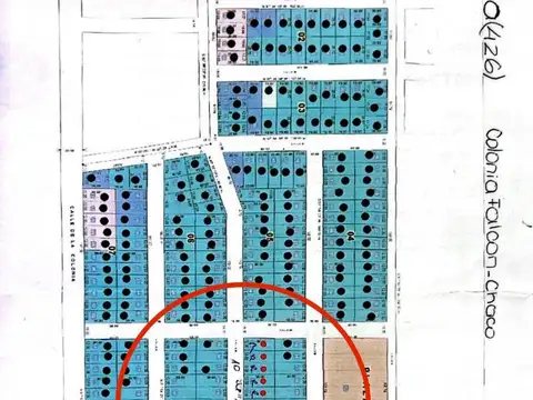 Ex Combatiente Eladio Benítez