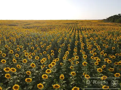 Campo en venta de 31000 Has en Santa Fe. Ganaderas/Agrícolas