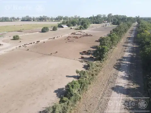 Campo en venta de 31000 Has en Santa Fe