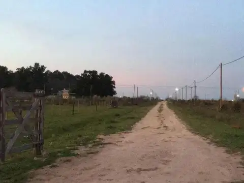 Terreno en venta - 1250 mts 2- 25 mts x 50 mts  - Arana