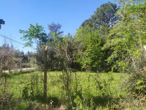 Terreno en Venta 17  mts Frente