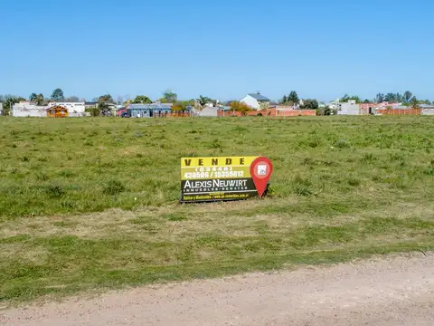 Don Pedro Ayala y Primera Junta  M 86 L4