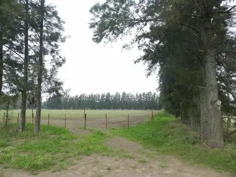 Campo en Venta de 4  ha