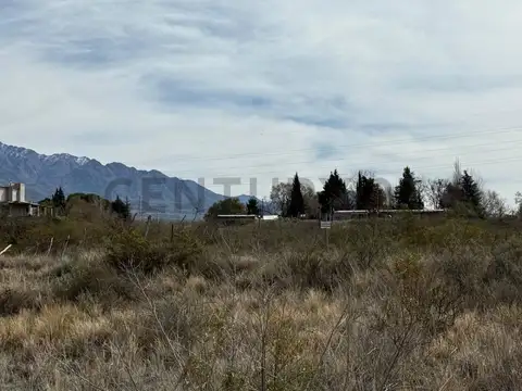 Terreno en Venta 50  mts Frente