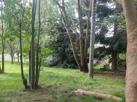 Terreno en Venta 50  mts Fondo