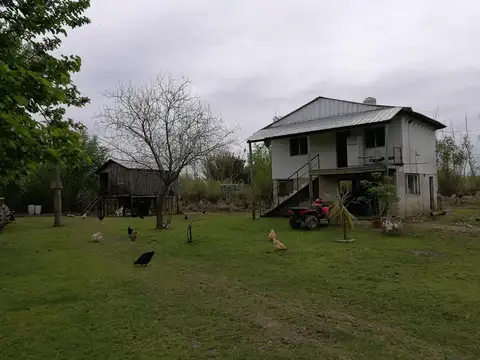 VENTA CAMPO ENDICADO GANADERÍA CRÍA/RECRÍA/ENGORDE