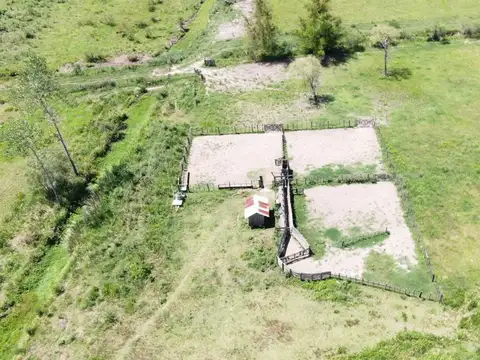 VENTA CAMPO ENDICADO GANADERÍA CRÍA/RECRÍA/ENGORDE