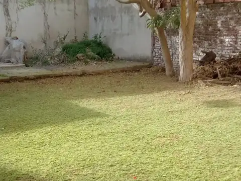 Departamento en Venta 16 años