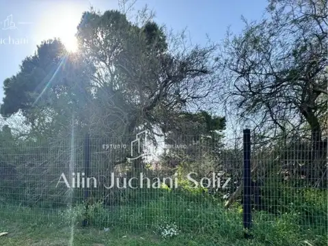 Francisco de las carreras  al 1850