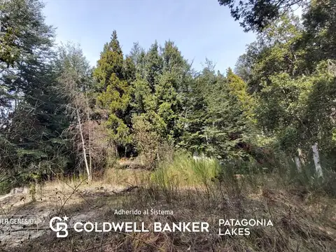 VENTA Lote/Terreno 2.400 m2 Apto 5 UF con arroyo y vista a los cerros Las Balsas, Villa La Angostura