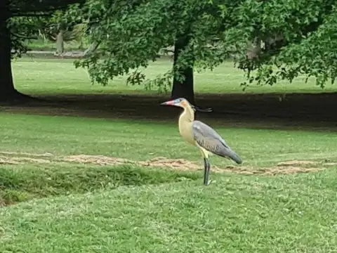 VENTA - CANJE - PERMUTA . Terreno en Harás del Sur I – Km 69, Ruta 2