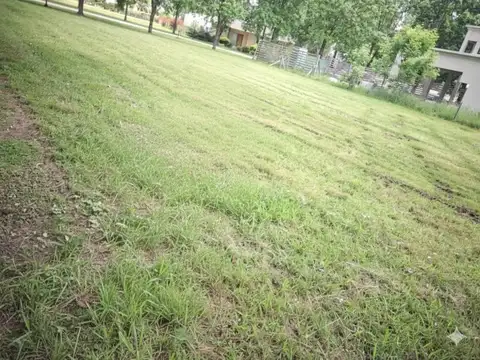 Terreno en Venta de 1333,0 m2