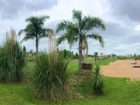 Campos De La Enriqueta  - Ruta 2 Km 65