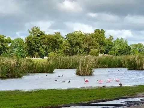 Terreno en Venta en Coronel Brandsen, USD 25.000