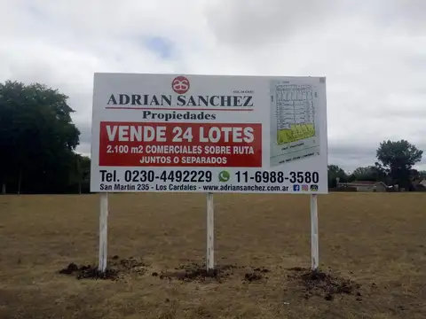 24 LOTES EN BARRIO LOS CARDOS: 2.100 m2 COMERCIALES SOBRE RUTA (6 LOTES), JUNTOS O SEPARADO