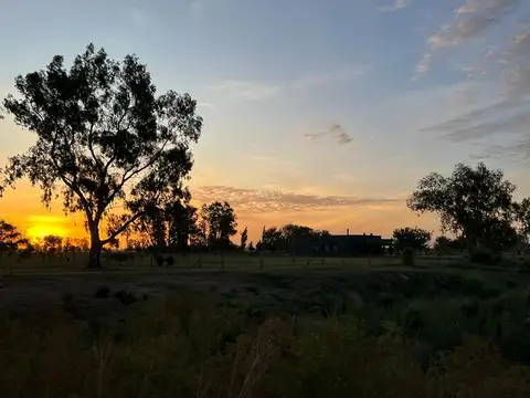 Terreno en Venta 62,90  mts Frente