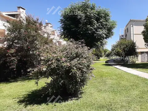 Chile, La lonja, Pilar 100