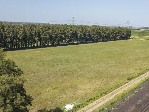 Campo en Perez cerca de la Ciudad Industria 3 Hec