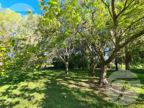 Terreno en Venta 47  mts Fondo