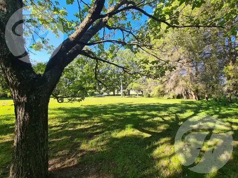 Terreno en Venta 39  mts Frente