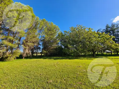 Gran lote de 1.493 m² en El Escorial – Rodeado de naturaleza - Financiación