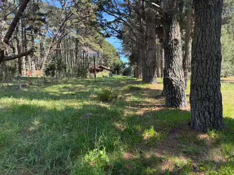 Terreno en La Lucila Del Mar en venta