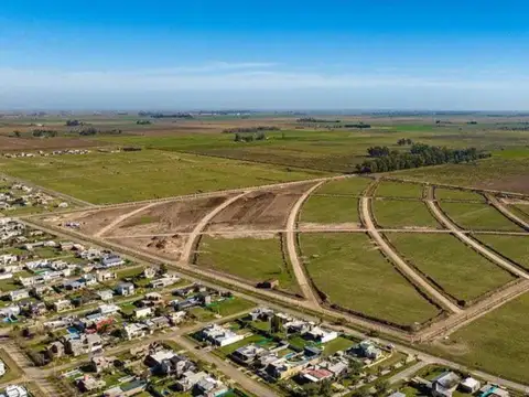 Vida Green Funes, posibilidad de permuta