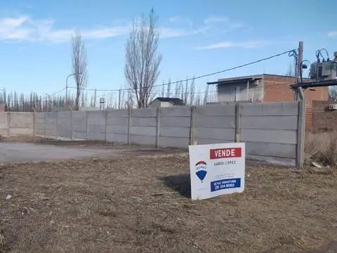 Los frutillares y Manzanares 8000