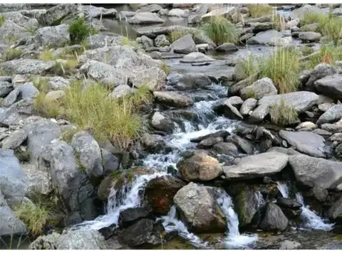 Campo en venta - 52 Ha - Córdoba