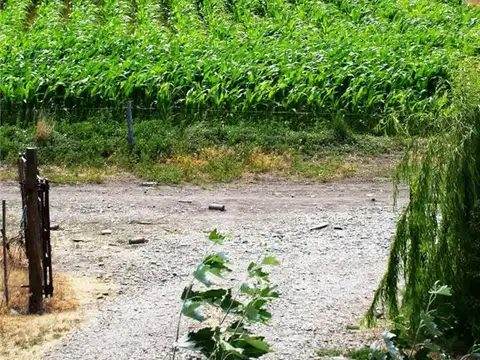 PROPIEDADES RURALES - CHACRA - DOVALÓN