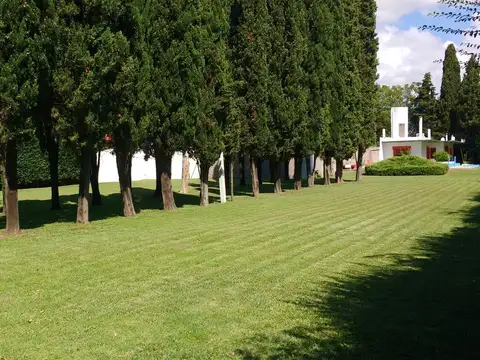 Terreno en Venta en Ranelagh, USD 90.000