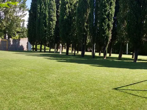 Terreno en Venta 42  mts Fondo