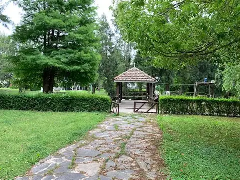 Rio / Arroyo Abra Vieja Oasis 100