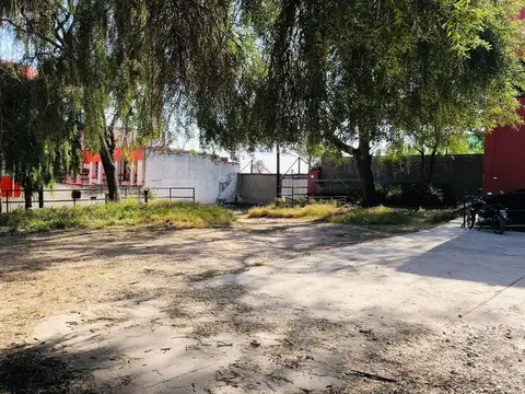 Juan Bautista Alberdi 200