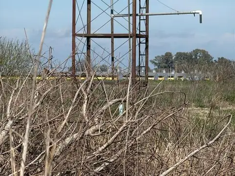 Campo en  San Pedro, Provincia de Buenos Aires, Argentina.