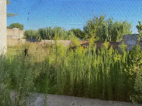 Casa en Venta en Trenque Lauquen, USD 50.000