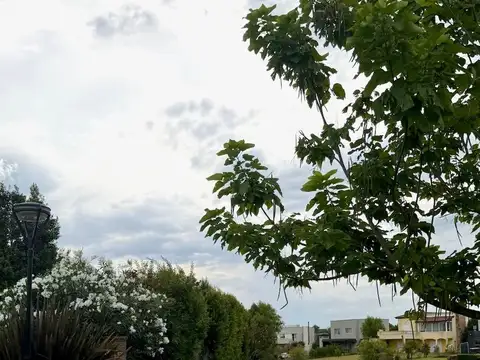 Avenida General San Martin 2400